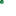 Favicon 16